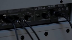 Alyssa Day & Xander Raymond Charles Introduce The 5150III Hypersonic 6L6 2x12  EVH Gear