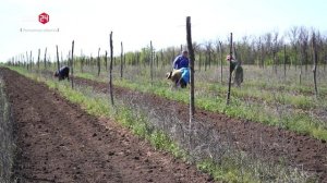 Песня нам строить и жить помогает