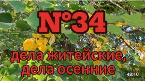 N°34. ВОТ И ЛЕТО ПРОШЛО || ОСЕННИЕ ЗАБОТЫ || КУПИЛИ СТАРЫЙ ДОМ В ДЕРЕВНЕ