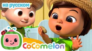 Овощи любят малыши - Новая Серия✨ # CoComelon на русском — Детские песенки