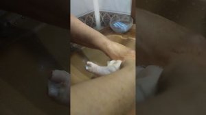 привет ты на меня подписался
