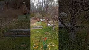 01-05-2026