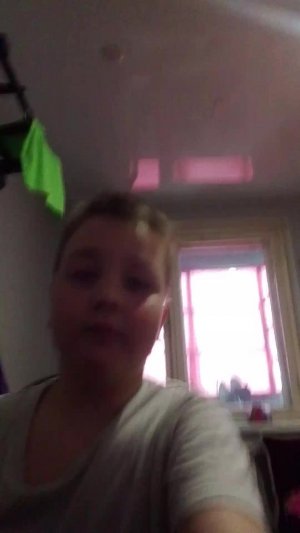 санек