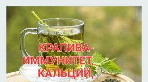 ИДУ ЗА МОЛОДОЙ КРАПИВОЙ,ЧТОБ ПОВЫСИТЬ ИММУНИТЕТ🌈🌈🌈🌈🌈☀️☀️☀️☀️☀️