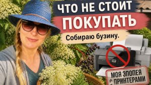 Первомай во Франции, бузина и мои ошибки с покупками.