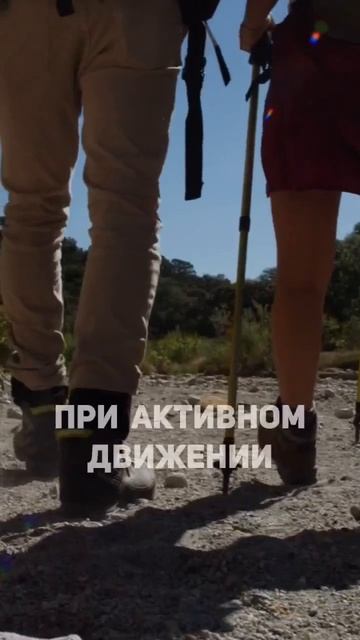 4 основы хорошего иммунитета