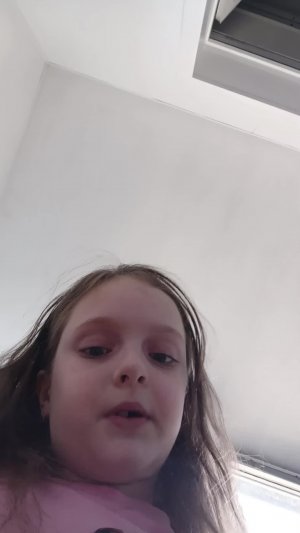 влог