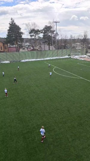 футбол