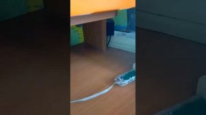стрим стелла лучшая