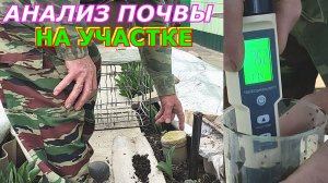 Анализ почвы на участке в домашних условиях.Как определить соленость почвы.Результаты анализа почвы.