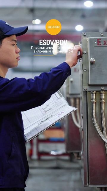ESDV(BDV) Пневматический привод с вилочным механизмом-BIGTORK VALVE AUTO MATION