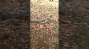 VID_20260501_133752.mp4