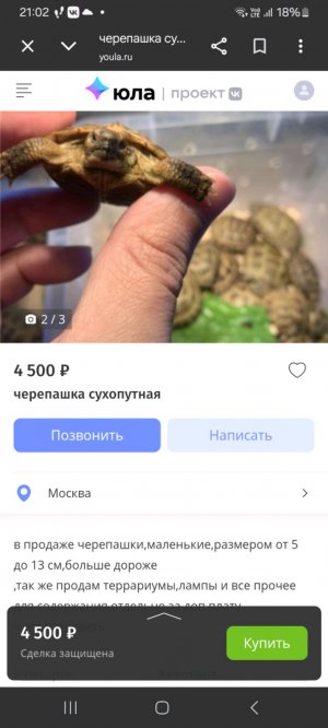 черепаха