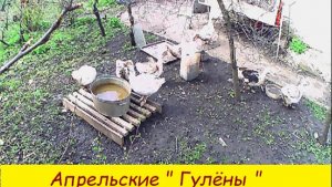 Апрельские  «  Гулёны «