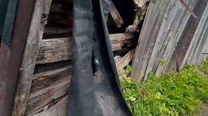 VID_20260501_131904180.mp4