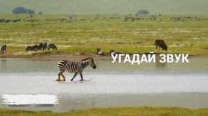 ИСТОРИЯ СОЗДАНИЯ МУЛЬТФИЛЬМА ПРО *СИНИЙ ТРАКТОР*