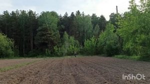 #Живёмвдеревне# __ Живем в деревне.Архив