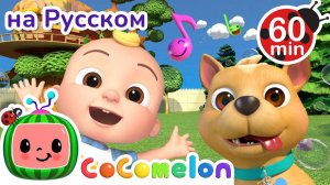 Моя собака 🐶🎶 # CoComelon на русском — Детские песенки