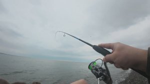 Рыбалка на черном море. Вечерний выход на ставриду