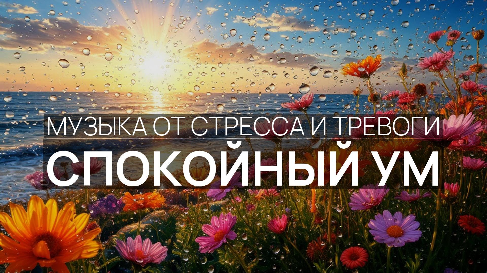 Спокойный ум 🏝️ Пение чаек 🌅 Солёный ветер 🌊