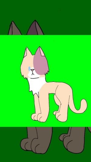 короче показываю фигурки которые я использую , в том числе двух моих ос и ещё пожалуйста 
чит.ОПИС