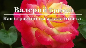Валерий Брюсов - Как страстно ты ждала ответа
