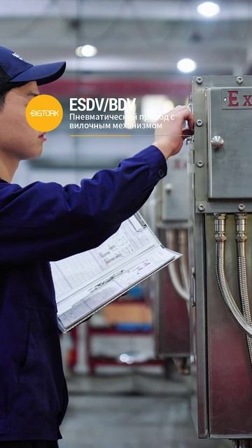 ESDV(BDV) Пневматический привод с вилочным механизмом-BIGTORK VALVE AUTO MATION