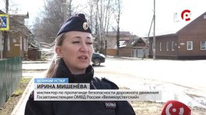 ДТП у Стрельны