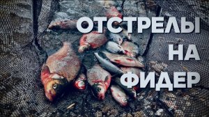 НЕУЖЕЛИ ЛЕЩ РУКИ ТРЯСУТСЯ! Рыбалка 2026