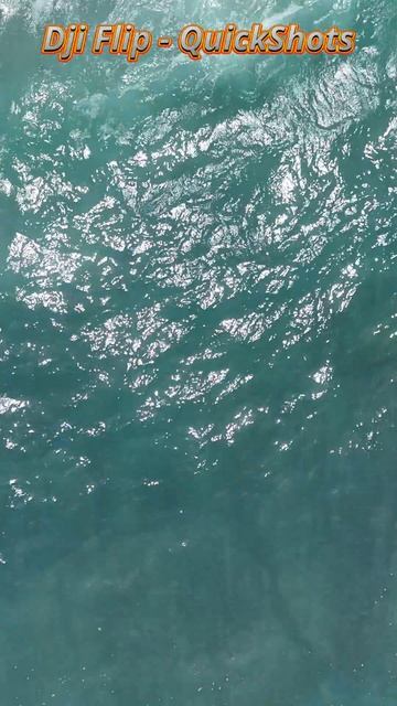 Dji Flip -QuickShots