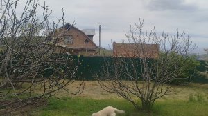 Боня я и кот чипи чапа