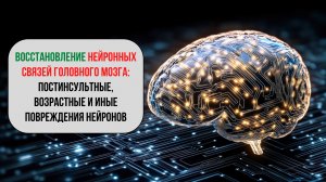 Матрица: регенерация нейронных связей головного мозга 🧠 | Восстановление утраченных нейросвязей