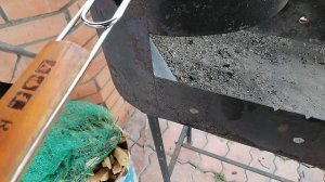 выходные с басиками