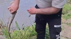 На рыбалке🐟🐠