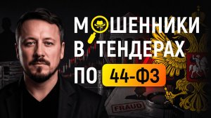 Мошенники в 44-ФЗ: как определить и избежать псевдозаказчиков? Тендеры для новичков и опытных