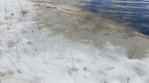Авантюрная рыбалка.Пытаюсь поймать форель