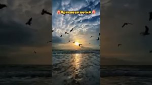 1000042367.mp4
