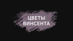 Занятия балетом для взрослых. Проект «Балет как хобби».