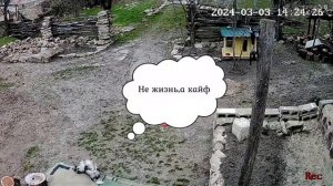 Весна-март. Один день из жизни ЗВЕЗДЫ!