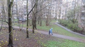Вид из окна, конец апреля 2026