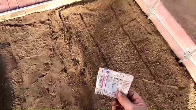 Посев безрассадных помидоров в теплицу