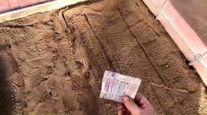 Посев безрассадных помидоров в теплицу