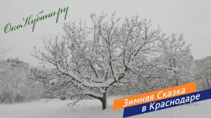 Краснодарская Зимняя сказка