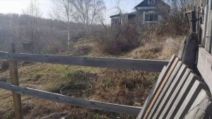 Дачная жизнь.первая поездка на дачу