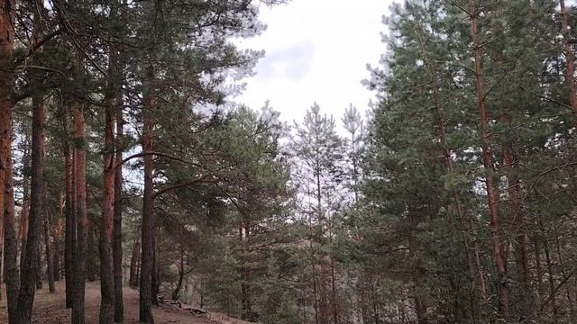 Об идеальном человеке