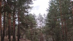 Об идеальном человеке