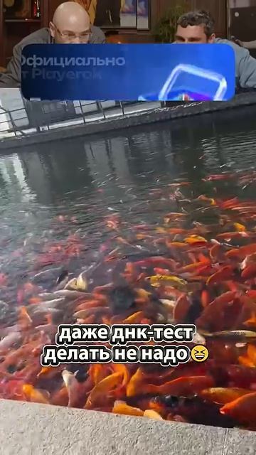 : )