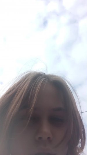 тигры