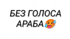 БОЙ ТЫКВЫ И МЕЛОНА | Skapell