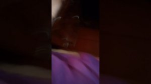 VID_20260501_164956.mp4